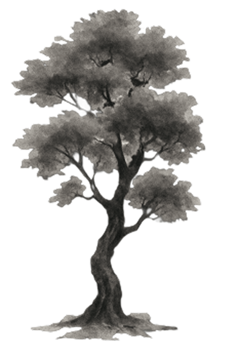A mature tree with a full canopy